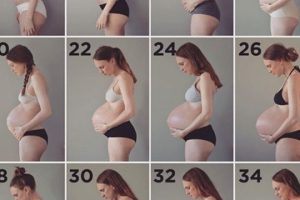 Barriga baja embarazo: ¿Qué significa?
