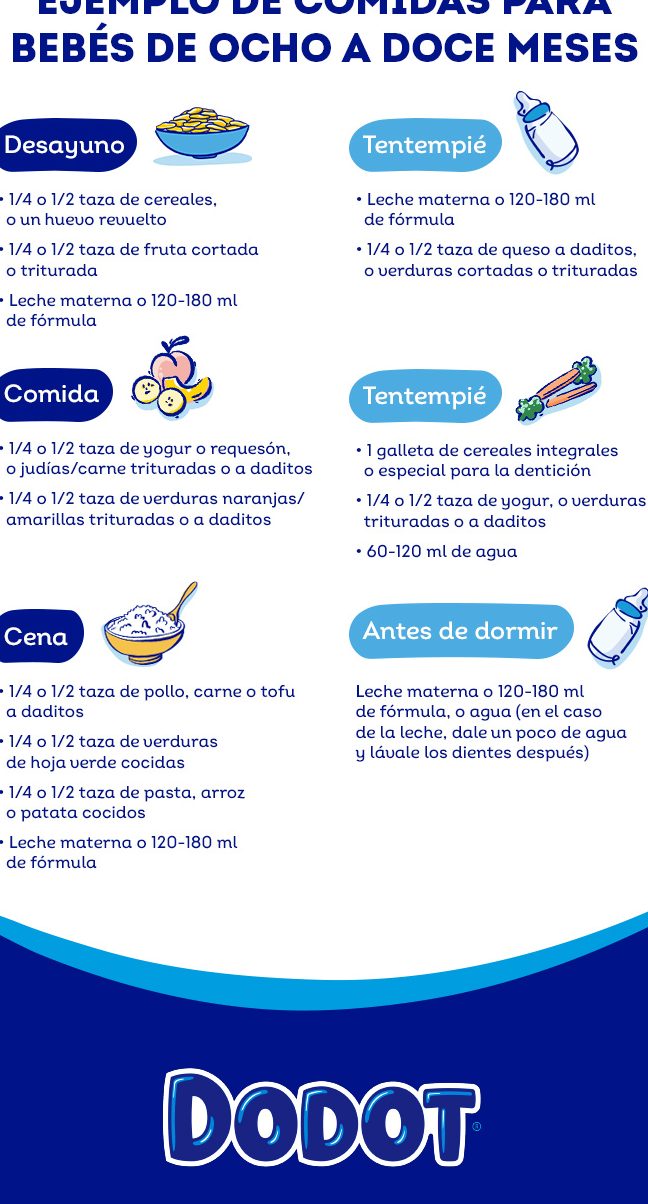 bebe de 8 meses desarrollo alimentacion y cuidados