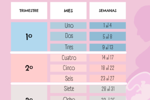 Calculadora de embarazadas: Semanas, peso y mucho más