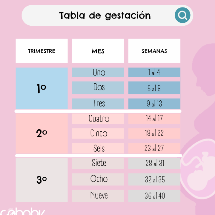 calculadora de embarazadas semanas peso y mucho mas