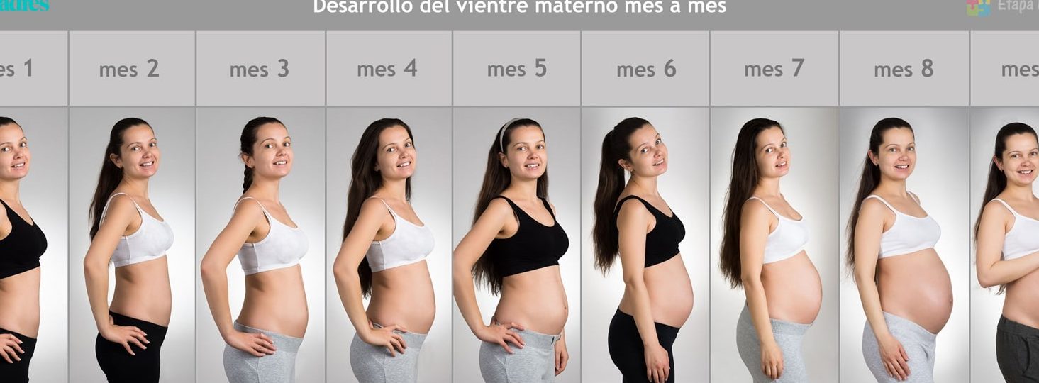 evolucion barriga embarazo semana a semana
