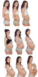 evolucion de la barriga en el embarazo semana a semana