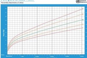 Percentiles bebé OMS: Tablas y significado