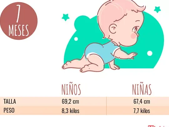 Peso ideal del bebé a los 7 meses: ¿Cuánto debería pesar? 1 peso ideal del bebe a los 7 meses cuanto deberia pesar