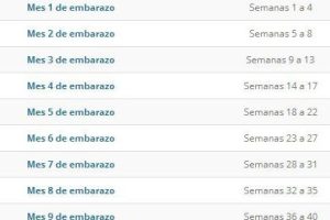 Semanas de embarazo a meses: Conversor