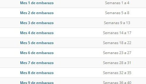 Semanas de embarazo a meses: Conversor 1 semanas de embarazo a meses conversor